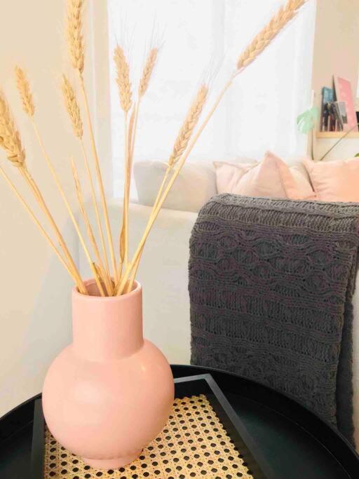 ホバートThe Blush Houseアパートメント エクステリア 写真
